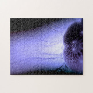 Watching Europa Puzzle #1