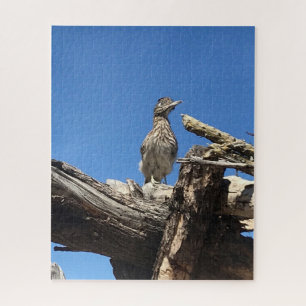 Watching for Mr. Coyote Jigsaw Puzzle