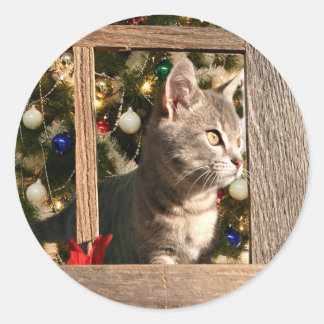 Watching for Santa Classic Round Sticker