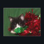 Watching for Santa Holiday Postcard<br><div class="desc">Black and white tuxedo kitten thinks he's hidden behind the garland as he waits and watches for Santa Claus cute cat lovers Christmas holiday postcard</div>
