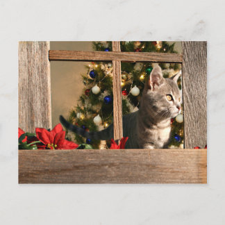 Watching for Santa Holiday Postcard