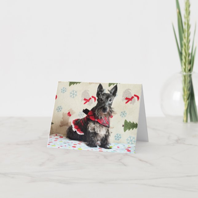 Watching for Santa Paws Card (Front)
