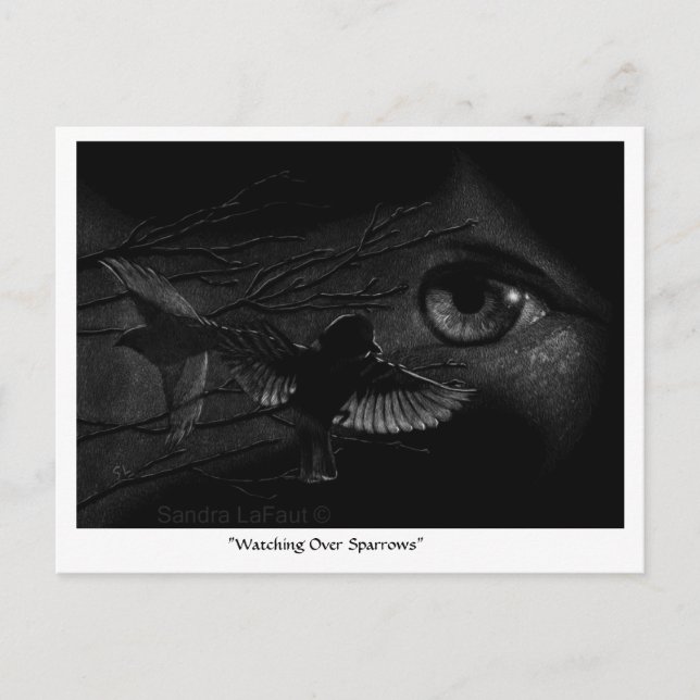 Watching Over Sparrows Postcrossing Postcard (Front)