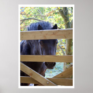 Watching. [Print] Poster