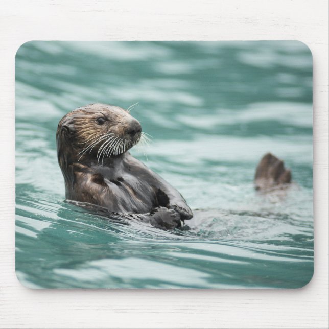 Watching Sea Otter Mouse Mat (Front)