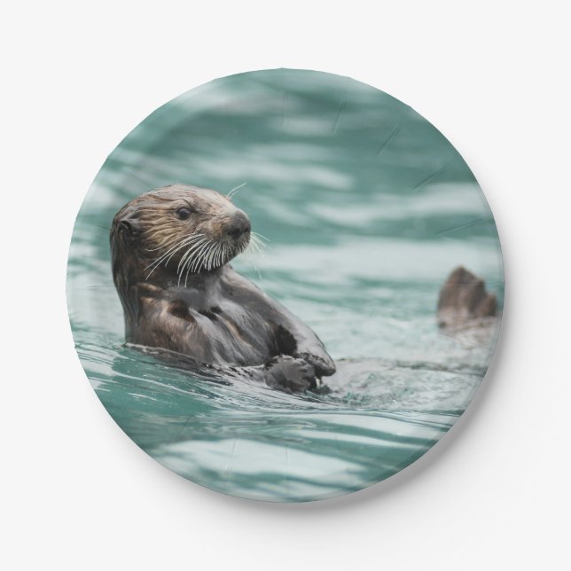 Watching Sea Otter Paper Plate (Front)