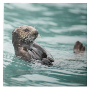 Watching Sea Otter Tile