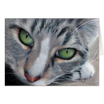 Watching Tabby Drawing Card