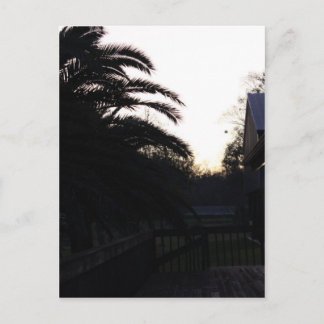 Watching the Sunset Postcard