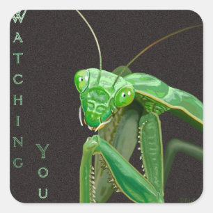 Watching You - Green Version Square Sticker