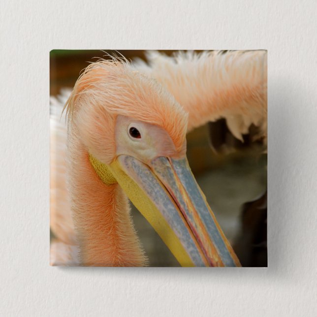 Watching You Pelican Button (Front)