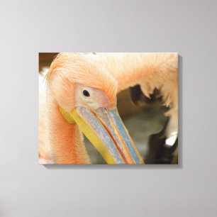 Watching You Pelican Canvas Print