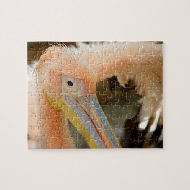 Watching You Pelican Puzzle (Horizontal)