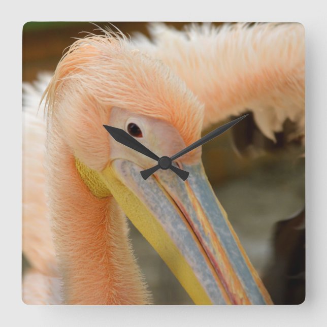 Watching You Pelican Wall Clock (Front)