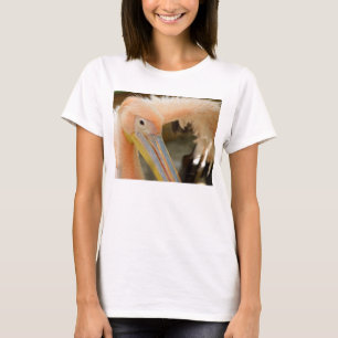 Watching You Pelican Women T Shirt