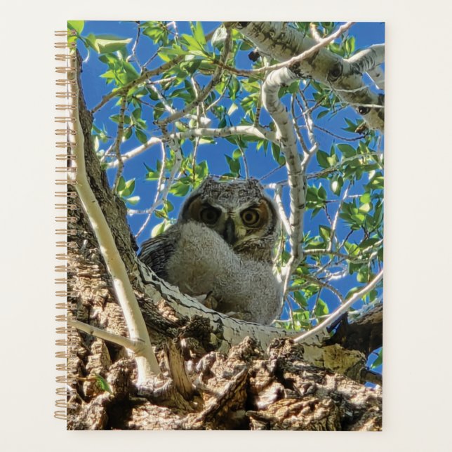 Watching You Planner (Front)