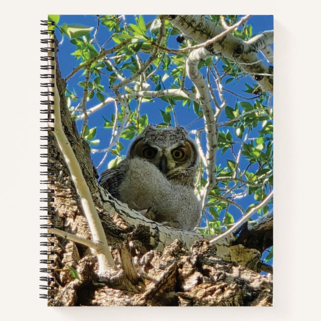 Watching You Spiral Notebook (Front)