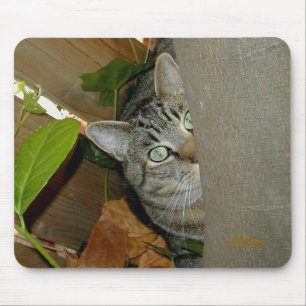 Watching Your Mouse Mat