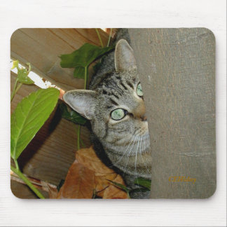 Watching Your Mouse Mat