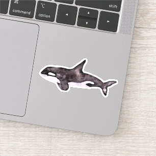 Watecolor Orca Whale