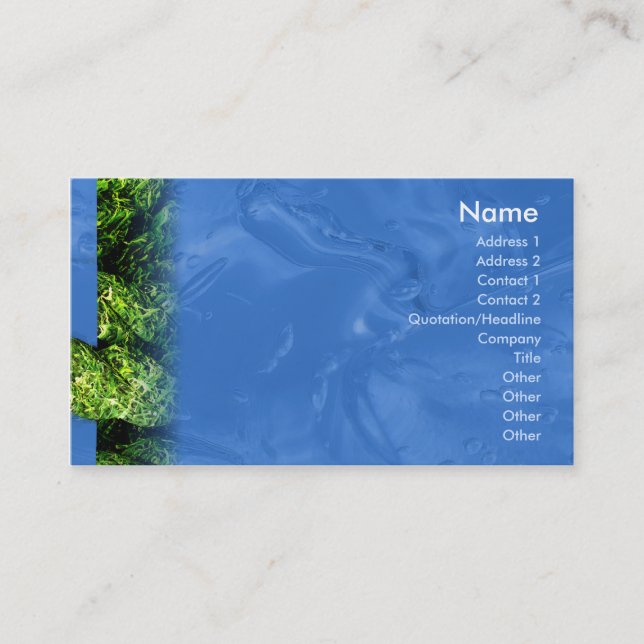 Water and Grass - Business Business Card (Front)