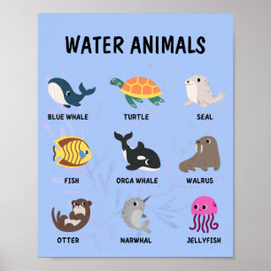 Water Animals Poster