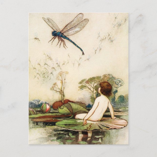 Water Baby and Dragon Fly Postcard (Front)