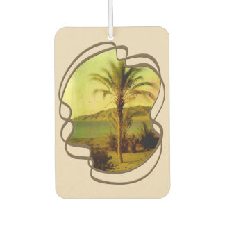 Water Baby Vintage Palm Air Freshener