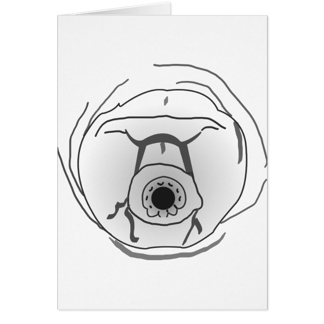 Water Bear Tardigrade Face (Front)