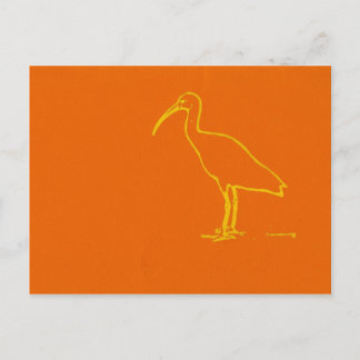 Water Bird Postcard