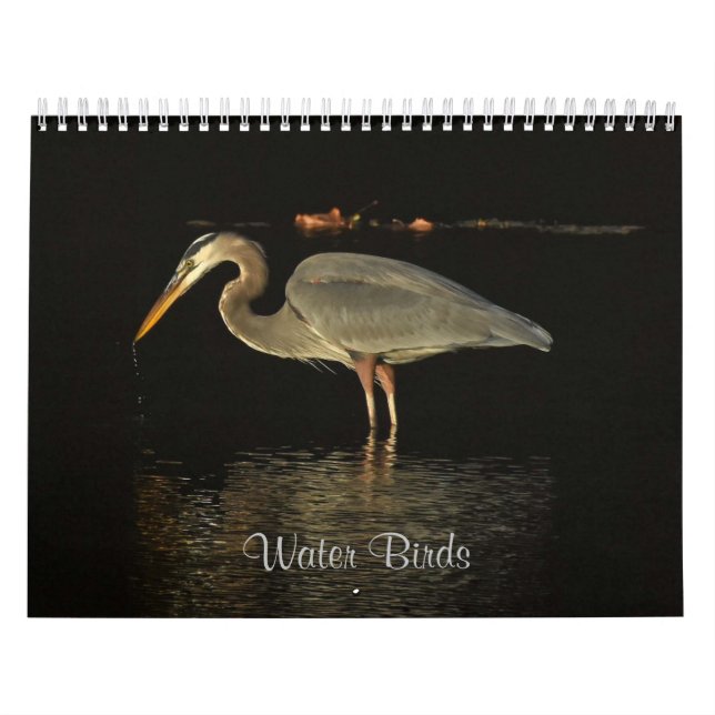 Water Birds 2 Calendar (Cover)
