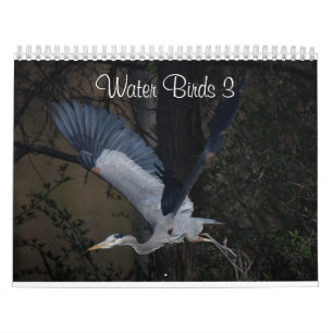Water Birds 3 Two Page MediumCalendar, White Calendar
