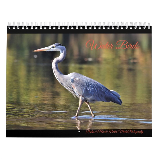 Water Birds  Calendar (Cover)