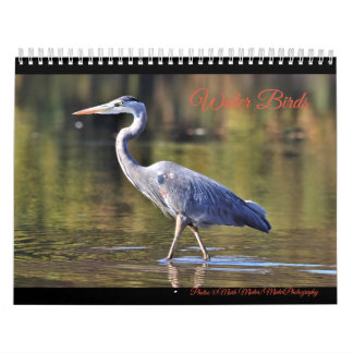 Water Birds  Calendar