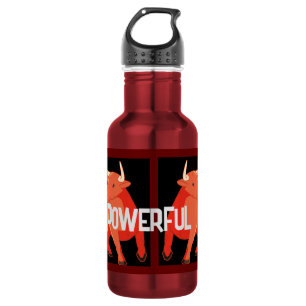 Water Bottle (18 oz) -Stainless Steel Water Bottle