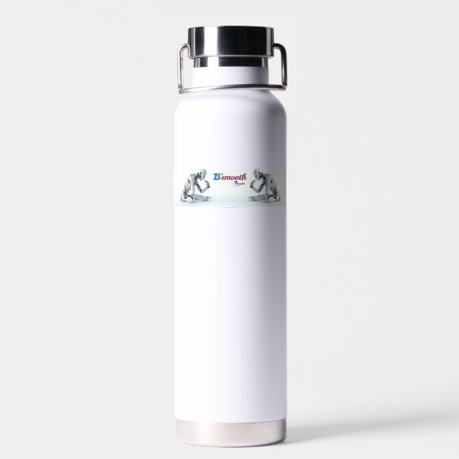 Water Bottle Insulated Tumbler (Back)