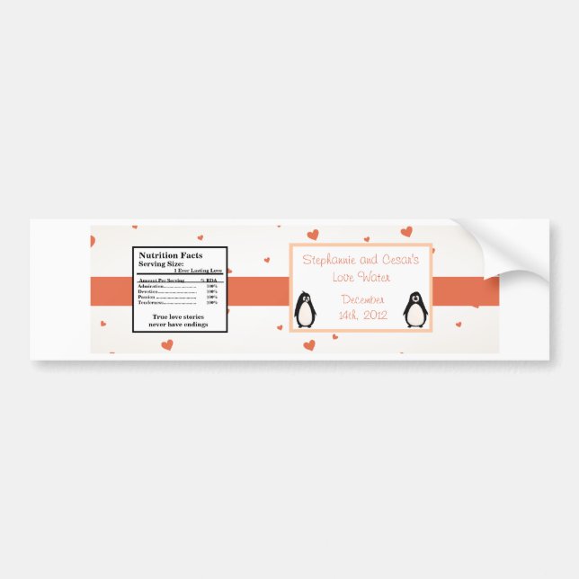 Water Bottle Label Penguin Love/Hearts Peach (Front)