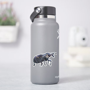 Water Bottle Laptop Stickers Weevil