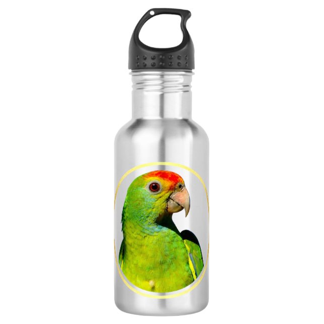 Water Bottles (Front)