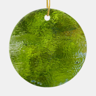 Water Bugs at Laurel Hill State Park Ceramic Tree Decoration