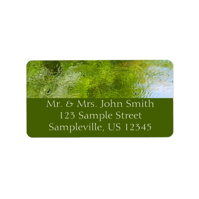 Water Bugs at Laurel Hill State Park Label (Front)