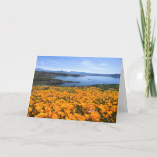 Water   California Lake With Golden Poppies Card