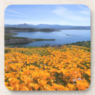 Water California Lake With Golden Poppies Coaster