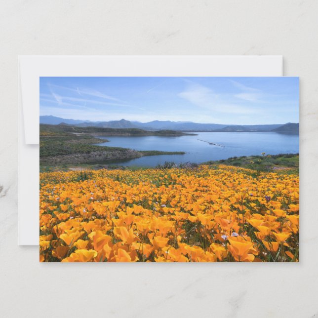 Water | California Lake With Golden Poppies Thank You Card (Front)