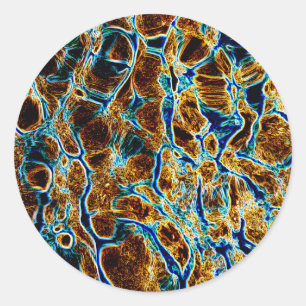 WATER CLASSIC ROUND STICKER