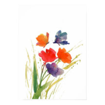 water color butterfly