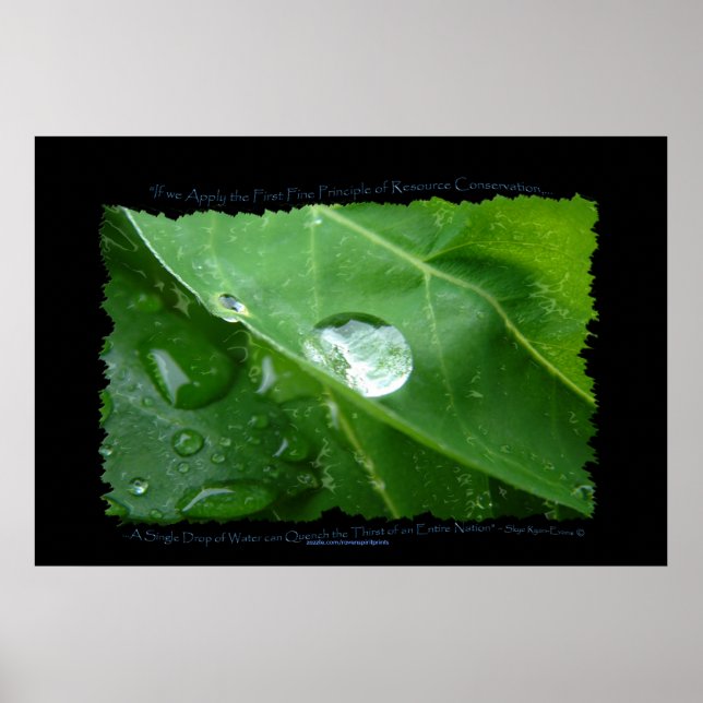 WATER CONSERVATION Leaf Drop Eco Poster (Front)
