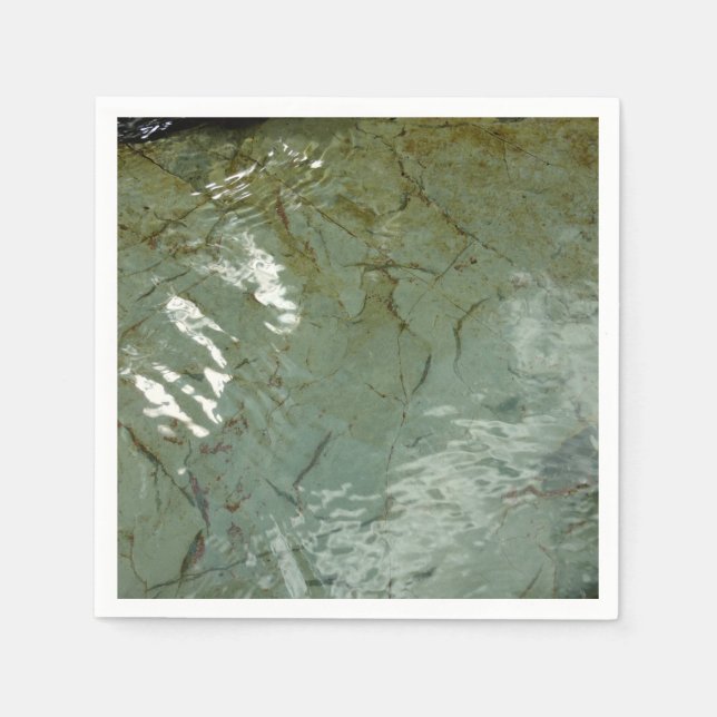 Water-Covered Rock Slab Nature Photo Napkin (Front)