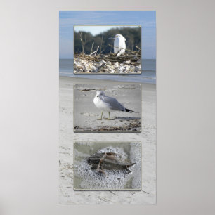 Water creatures triptych poster
