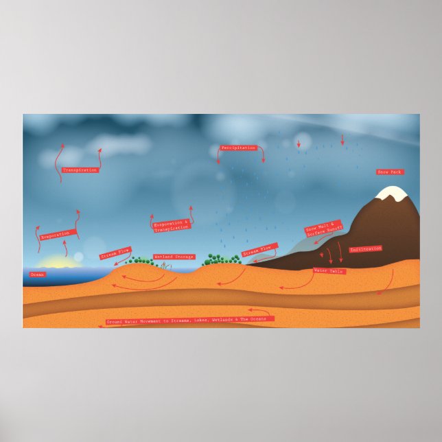 Water Cycle Poster (Front)